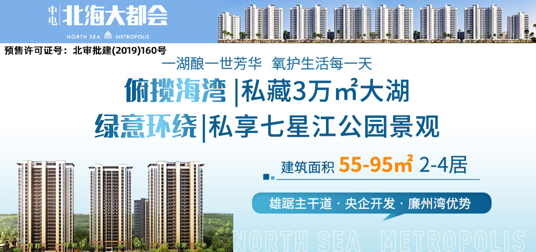 中电北海大都会